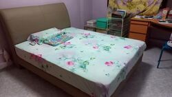 Blk 296B Compassvale Lodge (Sengkang), HDB 4 Rooms #557272291